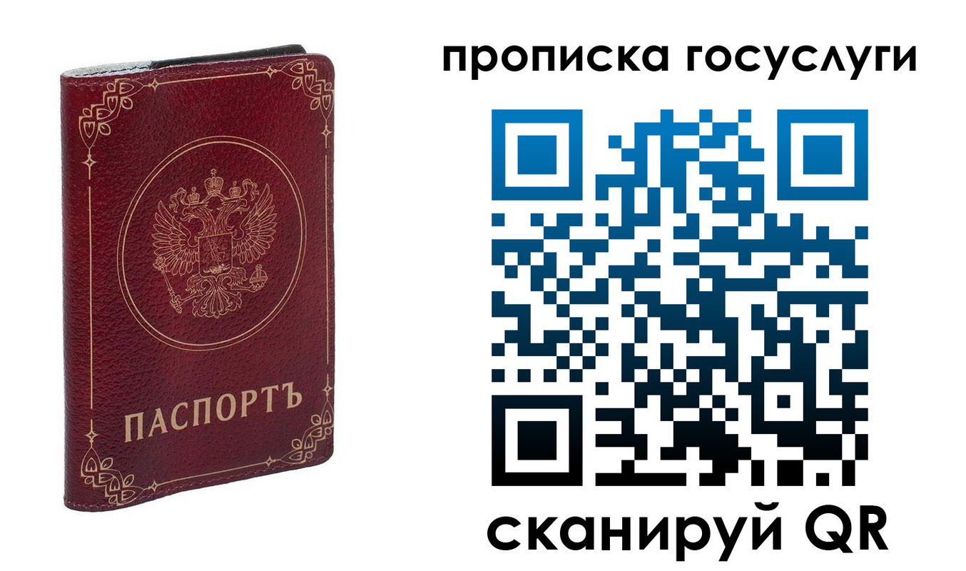 прописка в Вязьме